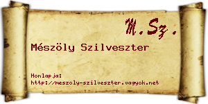 Mészöly Szilveszter névjegykártya