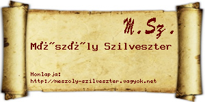 Mészöly Szilveszter névjegykártya