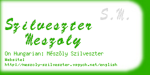 szilveszter meszoly business card