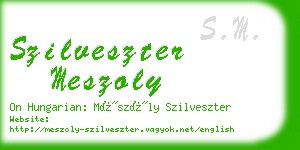 szilveszter meszoly business card